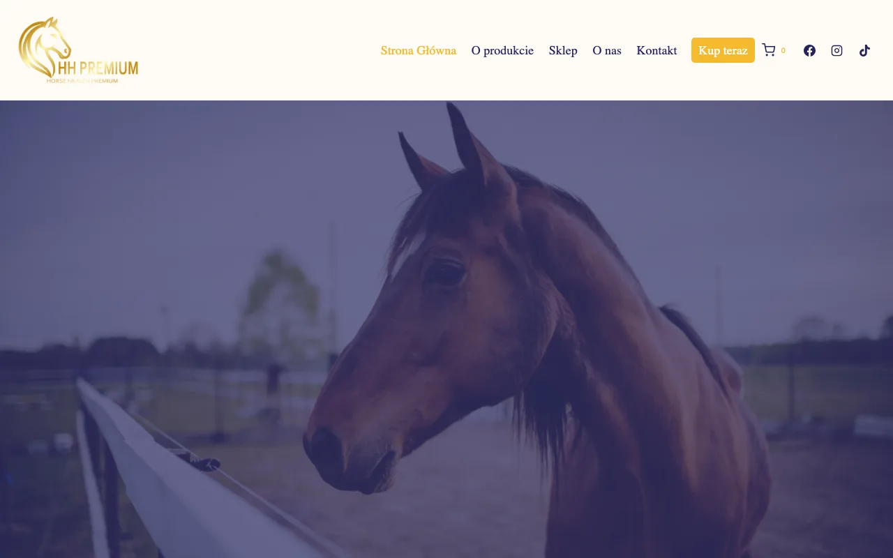Strona internetowa HH Premium — realizacja Kaminski.link