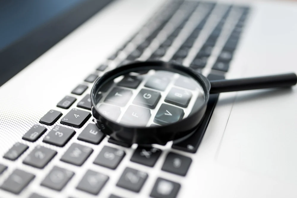 wyszukiwarka internetowa